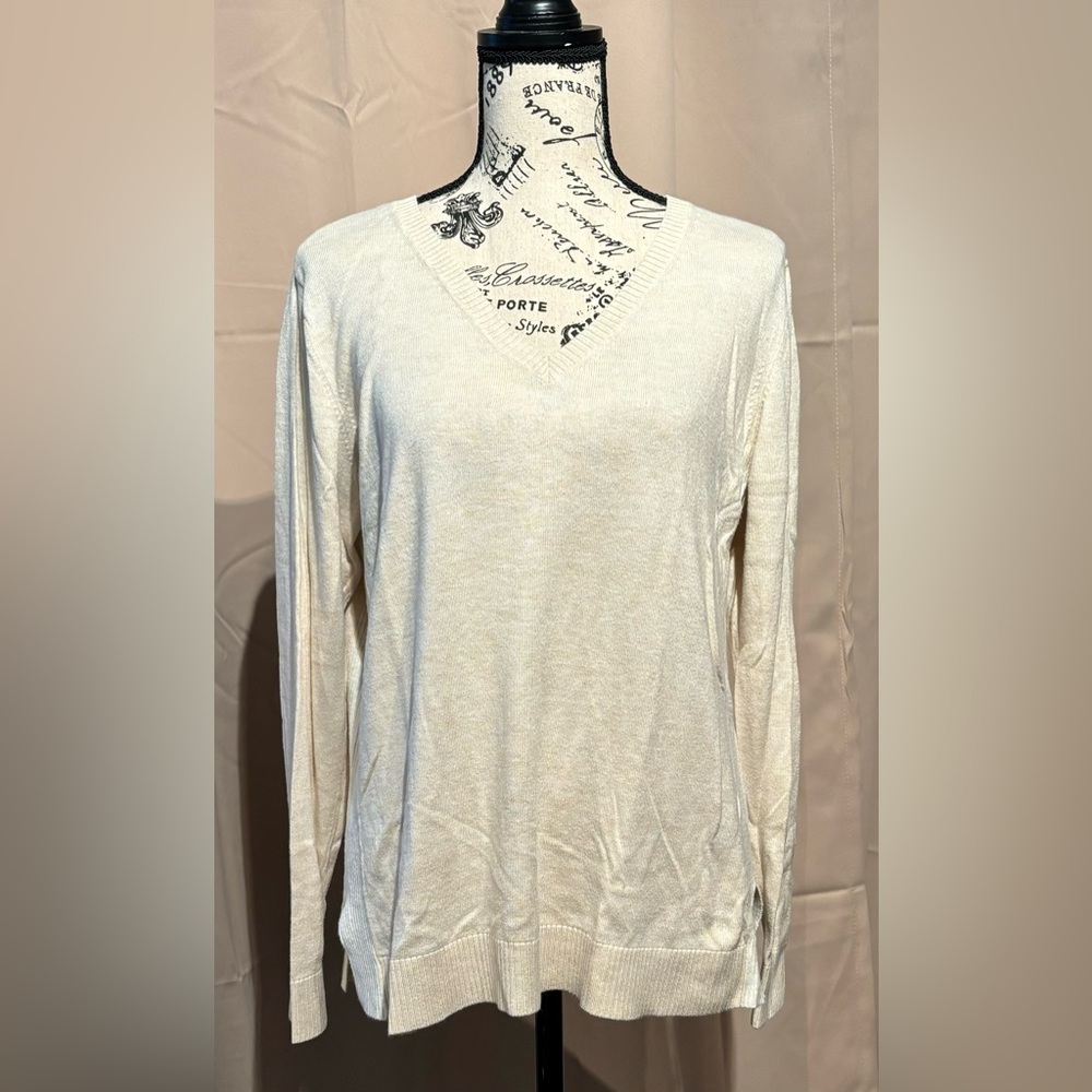 Gap women’s v-neck sweater size Lg